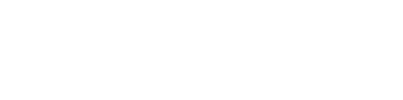 ServitizerX Logo White